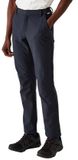 Regatta Fenton Broek Grijs 34 / Long Man