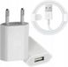 Apple chargeur et câble - Compatible avec iPhone/iPad