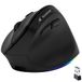 Bluestork - Ergonomische en verticale draadloze muis, 800-2400 dpi, 6 toetsen, RGB-led, preventie muissyndroom, voor rechtshandigen, pc, Mac - 2024 (ergonomisch)