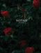 Notary Libri GmbH Notary Journal: Public Record Book for Women, Logbook for Notarial Acts, 390 Entries, A4, Red Roses Cover