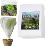 Bellushortus Vliesdoek plantenbescherming Afdekvlies voor zaailingen Agrotextiel, Tuinvlies Wit 50g/m2 met UV-bescherming EU kwaliteit / 10m lang, 1.6 m breed