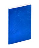GESCHÄFT Quo Vadis GESCHÄFT COLOR ML Susan blau 2027 Hardcover