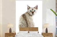 Nr1Wallpaper Fotobehang Bengaalse kat - 180x280 cm - Vliesbehang