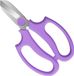 Merkloos Bloemenschaar, premium stalen tuinschaar, plantenschaar, snijder voor bloemen, fruit, blad, takken, trimmen, gereedschap voor tuinieren, bloemenversiering, violet