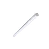 Philips Hue Philips LED Ledinaire WT060C L1500 LED-lamp voor vochtige ruimte LED LED vast ingebouwd 28 W Neutraalwit Grijs, Wit