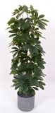 Oosterik Home Scheffelera arboricola 90 cm kunstplant