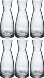 Bormioli Rocco Ypsilon Waterkaraf - Transparant - 500 ml - 6 stuks
