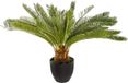 ATMOSPHERA CREATEUR D'INTERIEUR Plante artificielle - Cycas palmier en pot, sagopalmier, 72 cm