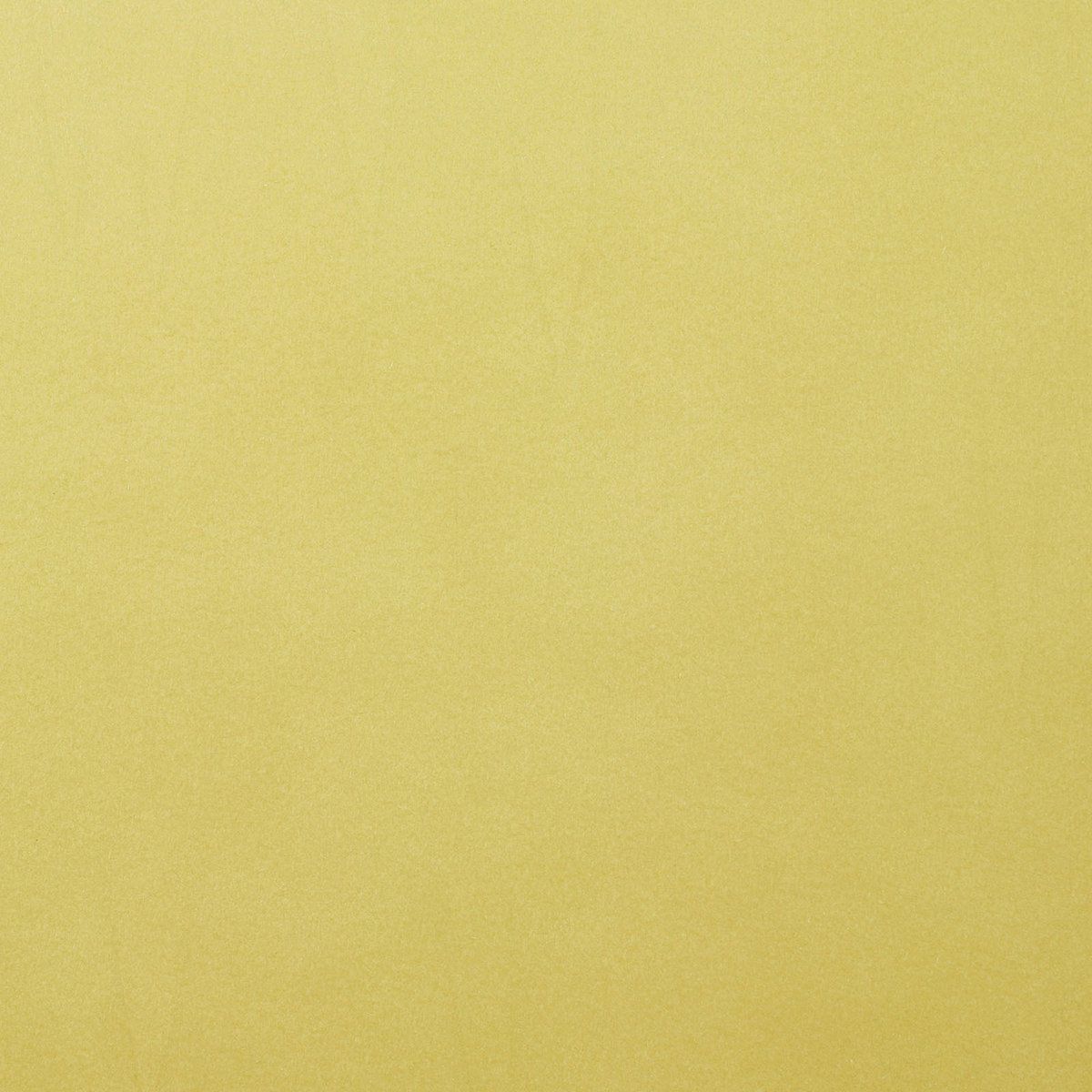 Florence Karton - Anise - 305x305mm - Gladde textuur - 216g - Papier - 8716052220373