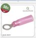 Quadrios 23C517 Ringkabelschoen Dwarsdoorsnede (max.): 1.5 mm² Gat diameter: 5.3 mm Deels geïsoleerd Rood 50 stuk(s)