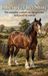 Alles Andries B.V. Alles over het Shire