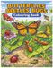Butterflies Beetles Bugs: Colouring Book