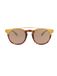 Alsteca Venetian C07 Zonnebril Brons