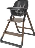 Ergobaby Evolve Kinderstoel Set Dark Wood