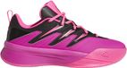 adidas Dame Certified 3 Indoor Schoenen Dames 42 Roos Zwart