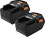 vhbw 2x batterie compatible avec Ridgid R840083, R840084, R840085, 130383028, R840086, 130383025, 130383001, R840087 outil (3000 mAh, Li-Ion, 18 V)
