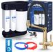 Aquaphor Morion kitchen mixer tap with water filter, pull-out spray and swivel spout, brushed gold