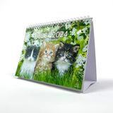 Exacompta - Bureaukalender/Maandplanner Cat Design