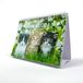 Exacompta - Bureaukalender/Maandplanner Cat Design