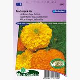 Sluis Garden Afrikaan hoog Crackerjack Mix