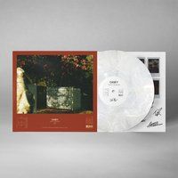 Casey Full Time Hobby Recordings Casey LP - How To Disappear - voor Geen - standaard