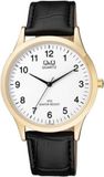 Q&Q by Citizen Q & Q C212J104Y