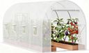 Tunnelkas Tunnelkas - Tunnel de jardin - 8 ouvertures de ventilation - Cadre en acier galvanisé - Convient aux plantes de jardin - Taille M - Blanc