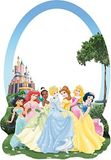 Disney Princesses kinderkamerspiegel kinderen