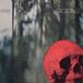 Konkurrent Circus Devils - Ataxia (CD)