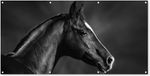 Décoration murale extérieure Cheval - Animaux - Noir - Blanc - Portrait - 160x80 cm - Toile de jardin