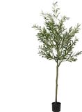vidaXL Kunstolijfboom 700 blaadjes 165 cm groen