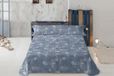 Lois Triptico Texano. RVS, Zilver