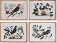 DKD Home Decor Kristal Vogels Schilderij 65 x 16,5 x 50,2 cm