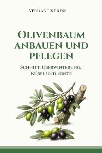 Olivenbaum anbauen und pflegen: Schnitt, Überwinterung, Kübel und Ernte