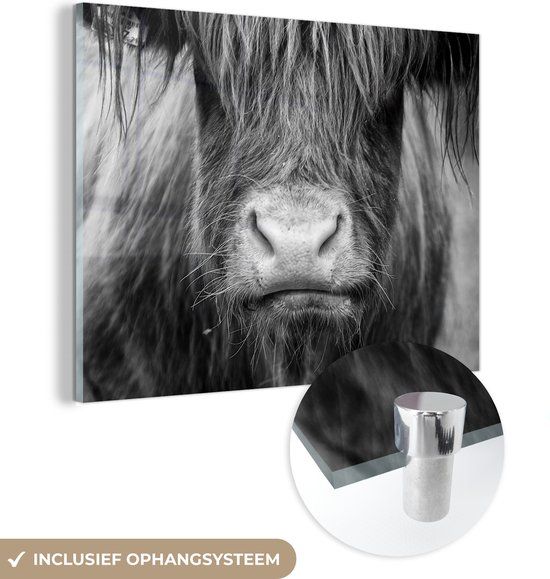 MuchoWow® Glass Painting 40x30 cm - Acrylic Glass Painting - Scottish Highlander - Cow - Black - White - Animals - Photo on Glass - Paintings