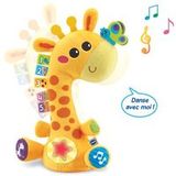 Vtech Baby Mijn giraf Moov & Groov Ontwikkelingsspel