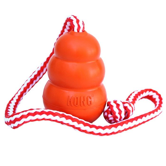 Kong Aqua - M - Oranje