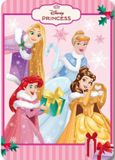 Disney Princess Fleece deken 100 x 140 cm Roze