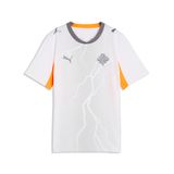 PUMA IJsland 2026 uitshirt, Grijs/Wit, Maat 13-14Y