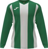 Joma Pisa II Voetbalshirt Lange Mouw Heren - Groen / Wit | Maat: M