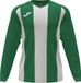 Joma Pisa II Voetbalshirt Lange Mouw Heren - Groen / Wit | Maat: M