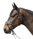 Waldhausen Star Hoofdstel Met Diamanten Bit - Pony - Wit