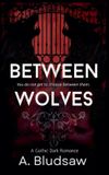 Between A. Bludsaw Paperback