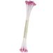 PME Stempels voor suiker bloemen grote parel lila (Pack van 50)