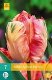 Jub Holland Tulipa Apricot Parrot bloembollen - 7 stuks