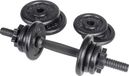 Bodyline Set 10 kg Halter Vinyl Gietijzeren Schijven Fitness Homegym