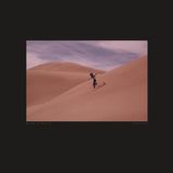 Bertus Distributie Bing & Ruth Species LP