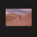 Bertus Distributie Bing & Ruth Species LP