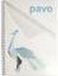 Pavo - Bindomslagen A4 280 micron PP Transparante/mat - 100 stuks