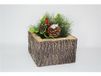DUE ESSE CHRISTMAS SRL L.Stam winterplant 14 cm C/vaas Qua##